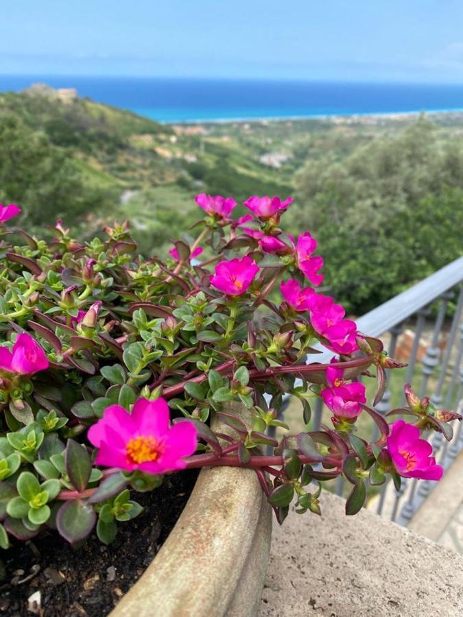 La Pastorella Maierà Esterno foto